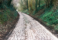 Chemins creux dans Bertembos